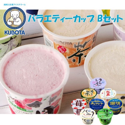 久保田食品のバラエティーカップ Bセット　アイスギフトセット【AC208】