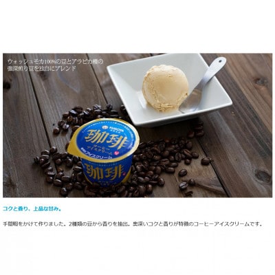 久保田食品のバラエティーカップ Bセット　アイスギフトセット【AC208】