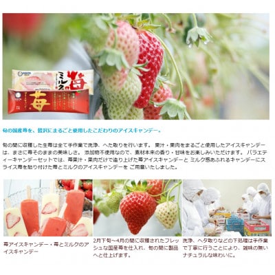 久保田特選カップ・キャンデーセット アイス ギフト セット【AC212】