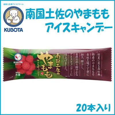 久保田食品の南国土佐のやまももアイスキャンデー　20本入 | 添加物不使用【AC261】