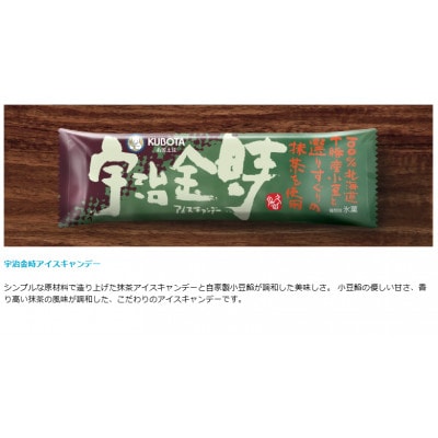 久保田食品のバラエティーキャンデー Bセット　 添加物不使用 アイス ギフト セット【AC203】