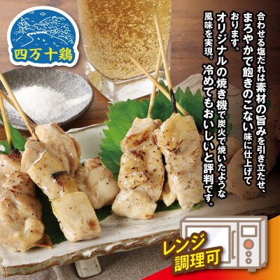 四万十鶏 焼鳥(もも串)塩 50本【CK006】