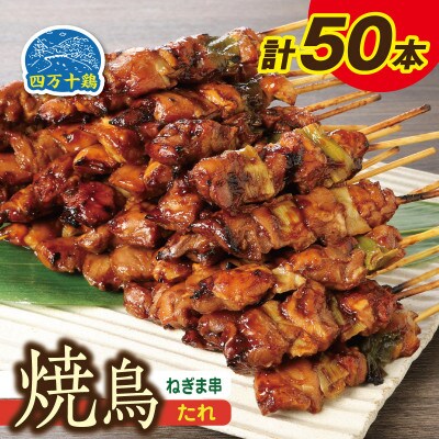 四万十鶏 焼鳥(ネギマ串)たれ 50本【CK007】