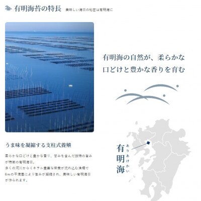 【毎月定期便】有明海産極撰プレミアム味のり80枚 6本　【AN015】全6回