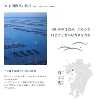 【毎月定期便】かね岩海苔 有明海産焼のり極撰プレミアム10枚入り ×5個　【AN017】全3回