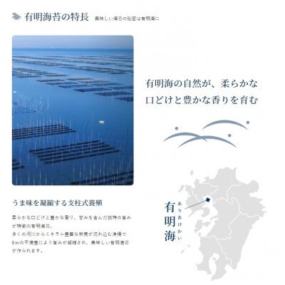 【毎月定期便】かね岩海苔 有明海産焼のり極撰プレミアム10枚入り ×5個　【AN018】全6回