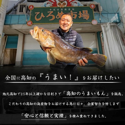 冷凍かつおのたたき　1本セット(約500g　1～3人前)【CQ014】