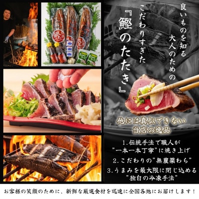 冷凍かつおのたたき　半分×2本セット(約500g　3～4人前)【CQ015】