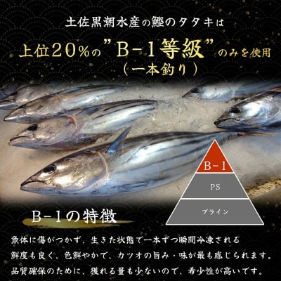 冷凍かつおのたたき　3本セット(約1500g　9～12人前)【CQ012】