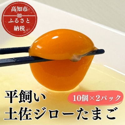 土佐ジロー鶏卵　20個【とさやま養鶏場】【HB001】