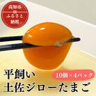 土佐ジロー鶏卵　40個【とさやま養鶏場】【HB002】