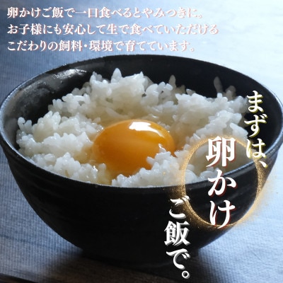 土佐ジロー鶏卵　40個【とさやま養鶏場】【HB002】