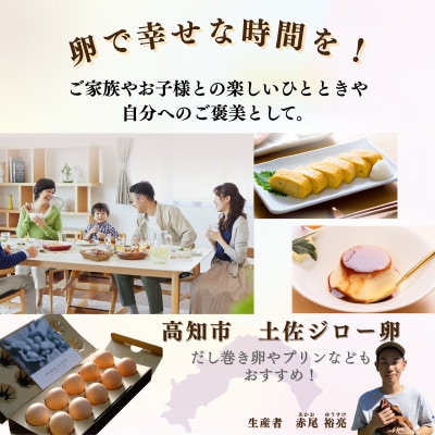 土佐ジロー鶏卵　40個【とさやま養鶏場】【HB002】
