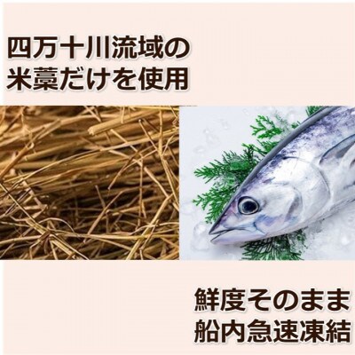 【訳あり】完全ワラ焼き 鰹たたき 龍馬タタキ 計約2kg【AM011】