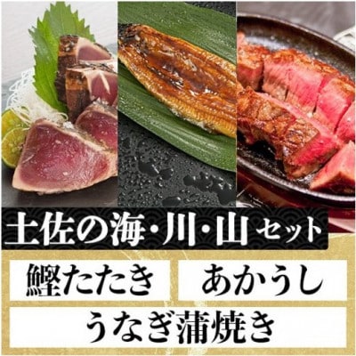 「土佐の海 川 山」鰹タタキ 約300g・うなぎ蒲焼 約140g・あかうし 約200g【AM008】