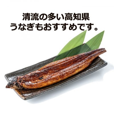 「土佐の海 川 山」鰹タタキ 約300g・うなぎ蒲焼 約140g・あかうし 約200g【AM008】