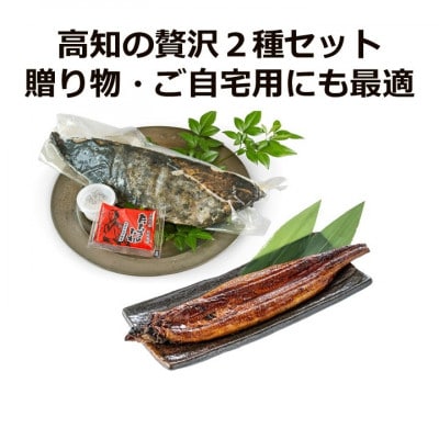 「土佐の海・川」土佐和紙包装うなぎ蒲焼と鰹たたき 計約440g【AM009】