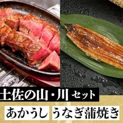 「土佐の山・川」　高知県産うなぎ蒲焼と土佐あかうしももセット【AM010】
