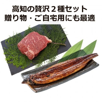 「土佐の山・川」　高知県産うなぎ蒲焼と土佐あかうしももセット【AM010】