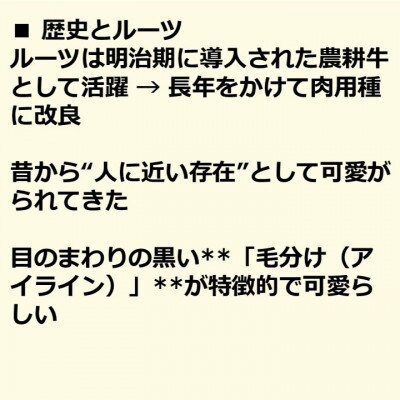 土佐あかうし焼き肉用カルビ 計約500g【AM041】