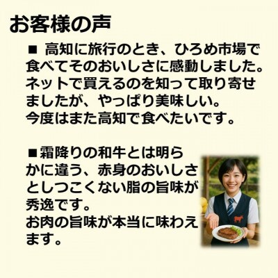 高知県産サーロイン&モモステーキセット【幻の和牛の贅沢セット】計約1000g【AM043】