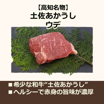 土佐あかうし 塊肉ステーキ(うで) 計約500g【AM047】