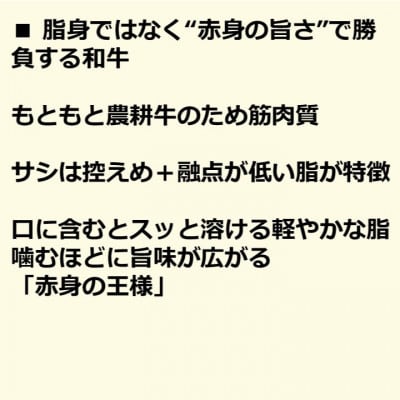 土佐あかうし 塊肉ステーキ(うで) 計約500g【AM047】