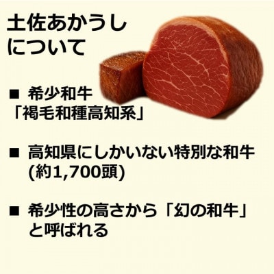 土佐あかうし 塊肉ステーキ 約500g　もも【AM046】