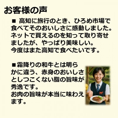 土佐あかうし 塊肉ステーキ 約500g　もも【AM046】