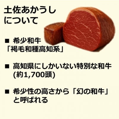 土佐あかうしサーロインステーキ 計約600g 高知県産【AM042】