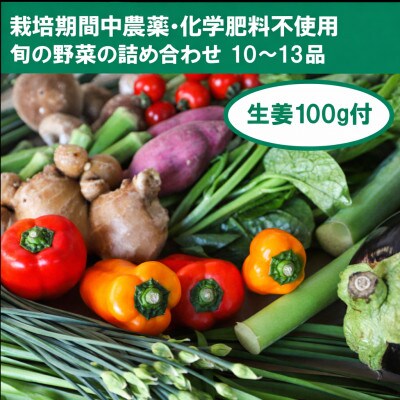 【栽培期間中農薬・化学肥料不使用】生姜100gと旬の野菜10～13品セット【BA004】