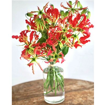 生花グロリオサ花束 ブーケ 1束【CG013】