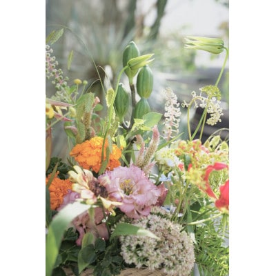 【毎月定期便】おすすめ生花アレンジメントM【CG008】全3回