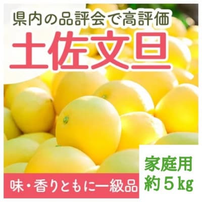 千光士農園の土佐文旦約5kg【家庭用】AM062