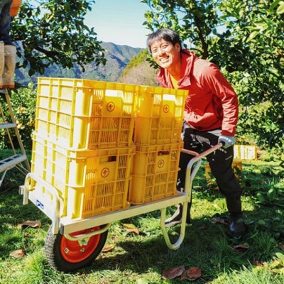 千光士農園の土佐文旦約5kg【家庭用】AM062