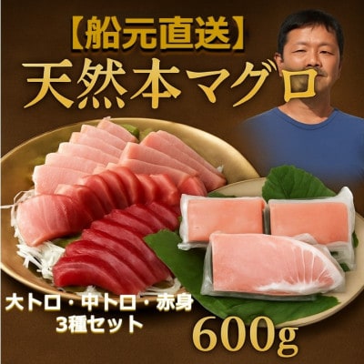 天然本鮪 大トロ 中トロ 赤身 セット(各約200g)【AM055】