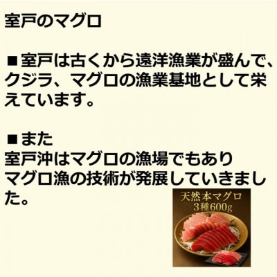 天然本鮪 大トロ 中トロ 赤身 セット(各約200g)【AM055】