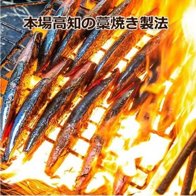 【高知名産】完全ワラ焼き鰹タタキ龍馬タタキ　計約700g【AM003】