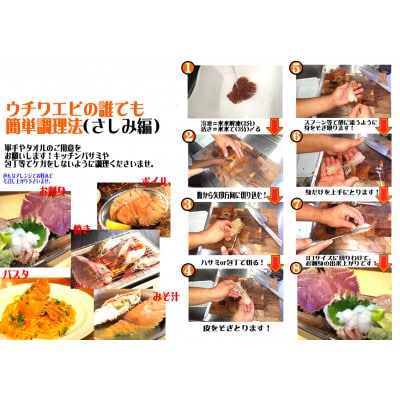 活き〆ウチワエビ1000gセット(7～10尾)天然高知県産!刺身OK!　誰でも簡単調理説明書付き!
