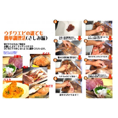 活き〆ウチワエビ500gセット(3～4尾)天然高知県産!刺身OK!　誰でも簡単調理説明書付き!