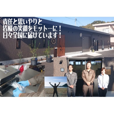 活き〆ウチワエビ500gセット(3～4尾)天然高知県産!刺身OK!　誰でも簡単調理説明書付き!