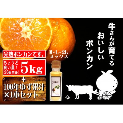 牛さんポンカン5kg&100年ゆず果汁1本セット