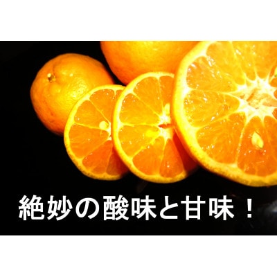 牛さんポンカン5kg&100年ゆず果汁1本セット