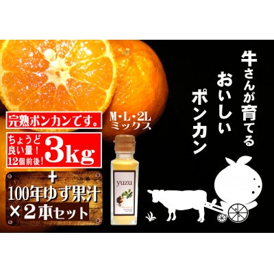 牛さんポンカン3kg 100年ゆず果汁2本セット お礼品詳細 ふるさと納税なら さとふる