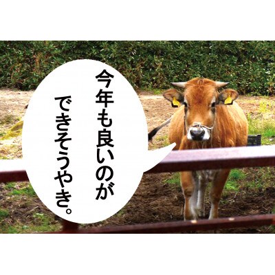 牛さんポンカン3kg&100年ゆず果汁2本セット