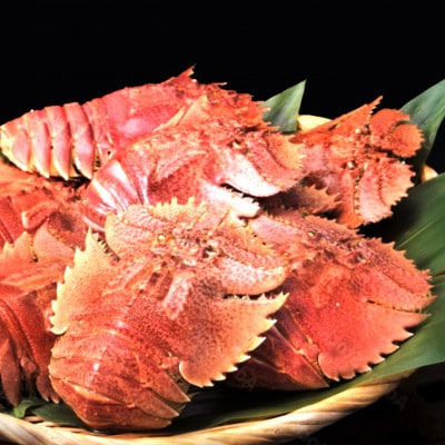 ウチワエビボイル!500g!あとは食べるだけ!