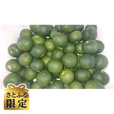 【さとふる限定】青ゆず3kg(訳アリ)
