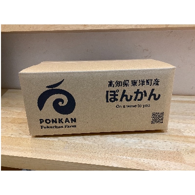 高知県東洋町産 完熟ぽんかん5kg