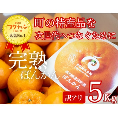 高知県東洋町産　訳あり完熟ぽんかん 5kg