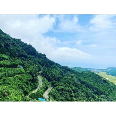高知県東洋町産　訳あり完熟ぽんかん 5kg
